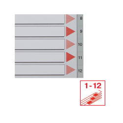 Separador numerico esselte cartulina 1-12 juego de 12 separadores folio multitaladro