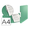 Carpeta esselte 2 anillas 25 mm din a4 colour ice polipropileno color verde