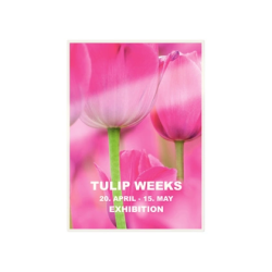 Bolsa de plastificar leitz din a3 125 micras caja de 100 unidades