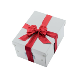 Caja almacenamiento leitz click&store wow carton reciclado color blanco 281x200x369 mm