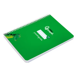 Cuaderno espiral liderpapel a5 pautaguia tapa blanda 40h 75gr cuadro pautado 2,5mm color verde