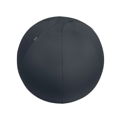 Balon de asiento leitz...