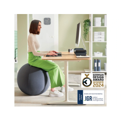 Balon de asiento leitz active sitzball antideslizante 65 cm color gris oscuro
