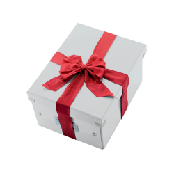Caja almacenamiento leitz click & store cubica grande color blanco 320x360x310 mm