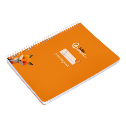 Cuaderno espiral liderpapel a5 pautaguia tapa blanda 40h 75gr cuadro pautado 5mm color naranja