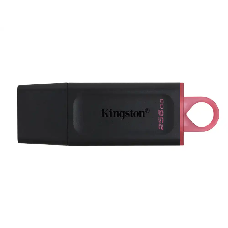 Memoria kingston pendrive exodia 256gb