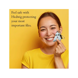 Memoria usb harry potter 32gb hedwig