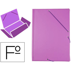 Carpeta liderpapel gomas...