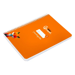 Cuaderno espiral liderpapel a5 pautaguia tapa blanda 40h 75gr cuadro pautado 4mm color naranja