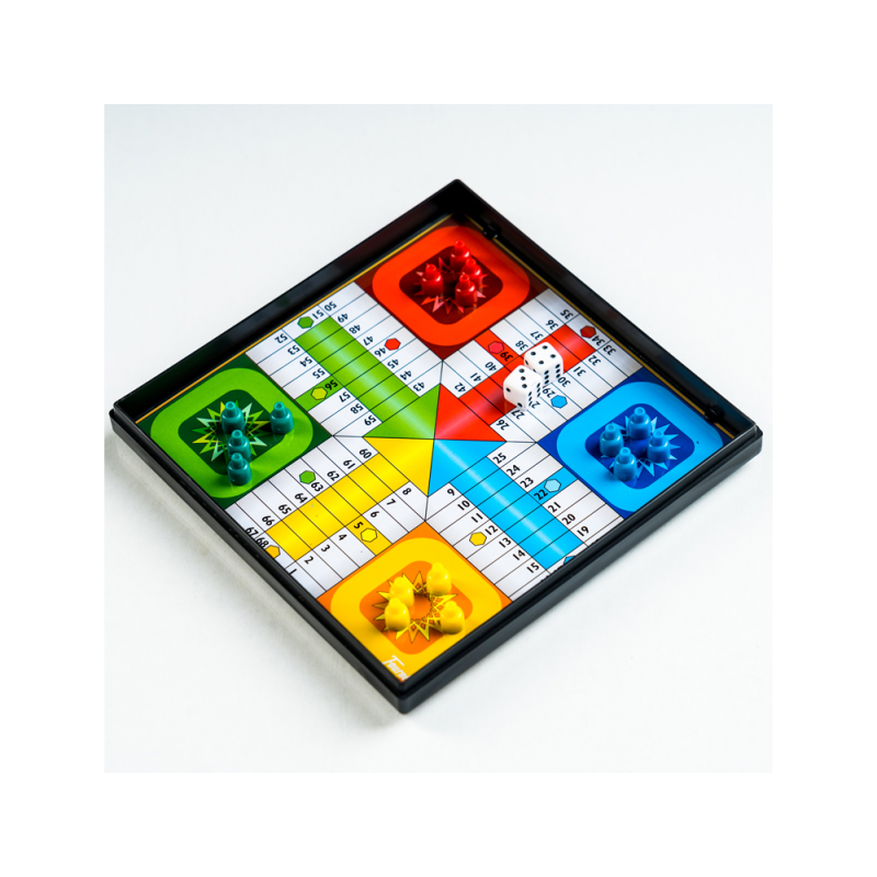 Parchis magnetico 20x16,1x2,2 cm