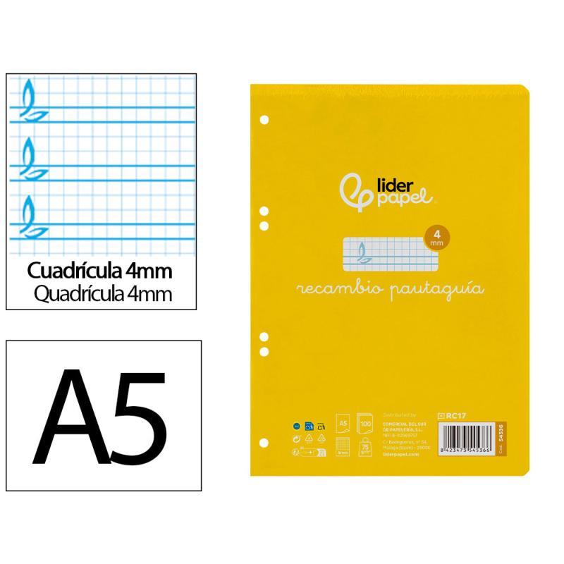 Recambio liderpapel a5 pautaguia 100 hojas 75gr cuadriculado pautado 4mm con margen 6 taladros