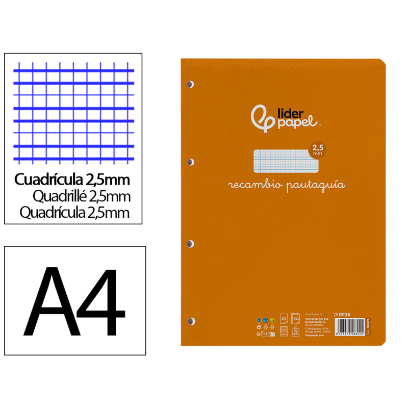 Recambio liderpapel a4 pautaguia 100 hojas 75gr cuadriculado pautado 2,5mm con margen 4 taladros