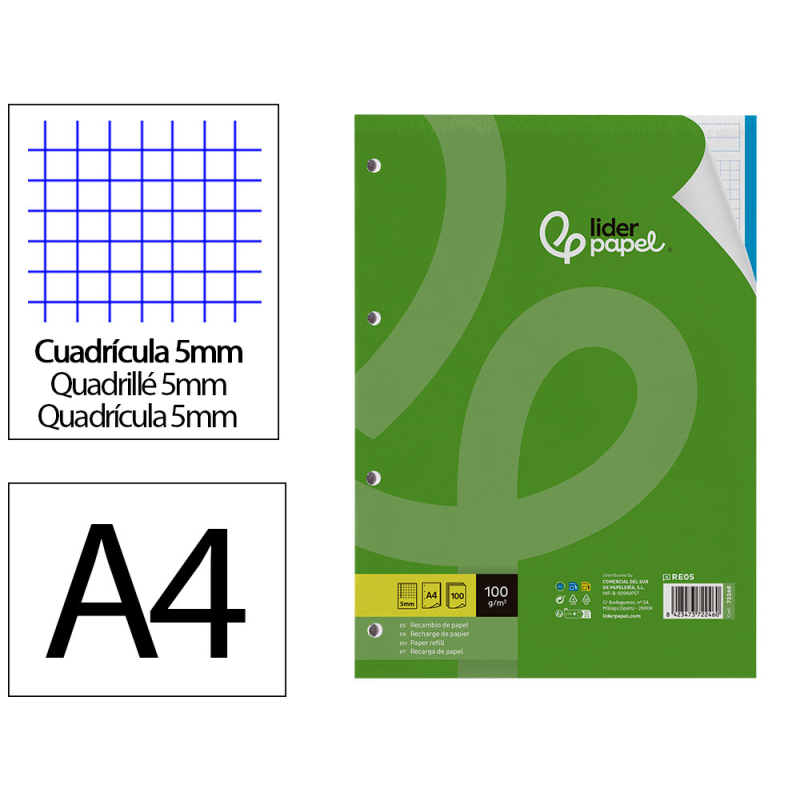 Recambio liderpapel a4 100 hojas 100gr cuadro 5mm 4 taladros bandas de 5 colores