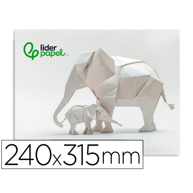 Bloc trabajos manuales liderpapel cartulina 240x315mm 10 hojas color blanco