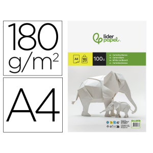 Cartulina liderpapel a4...