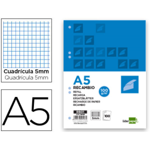 Recambio liderpapel a5 100...