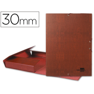 Carpeta proyectos...