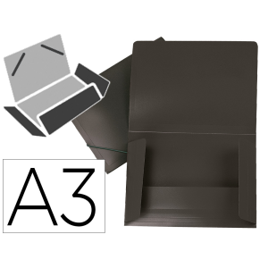 Carpeta liderpapel...