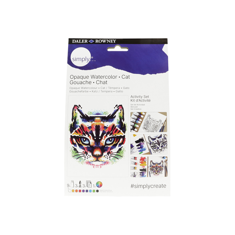 Set pintura gouache daler rowney simply activity