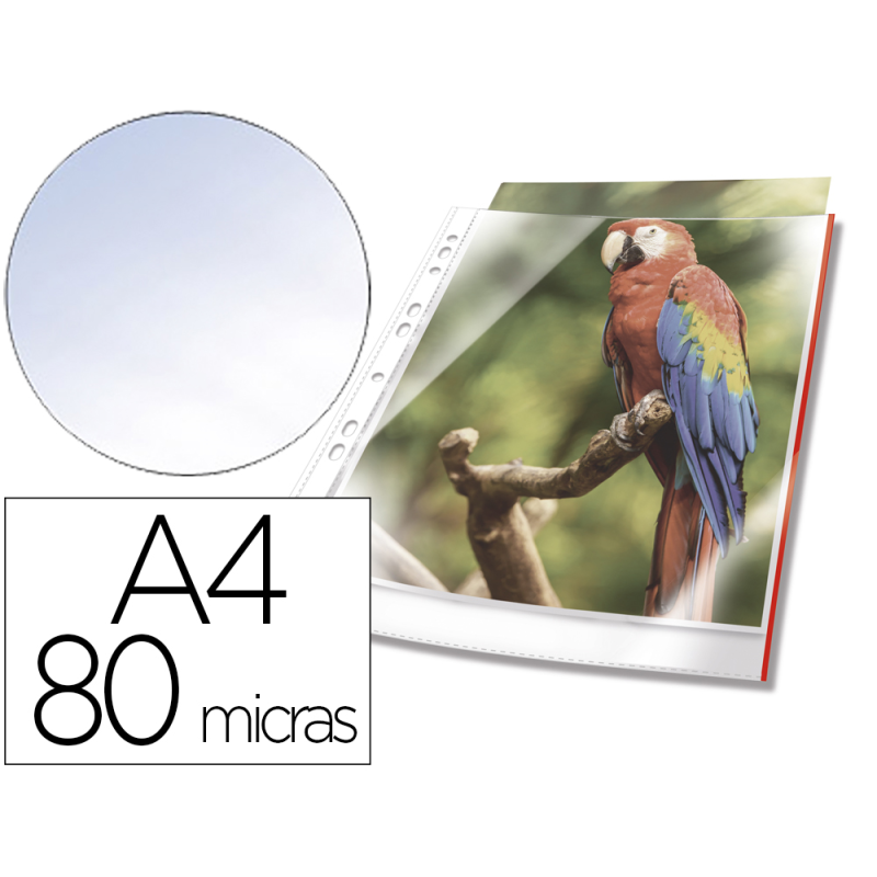 Funda multitaladro durable premium din a4 polipropileno 80 mc cristal con borde color rojo bolsa de 10 unidades