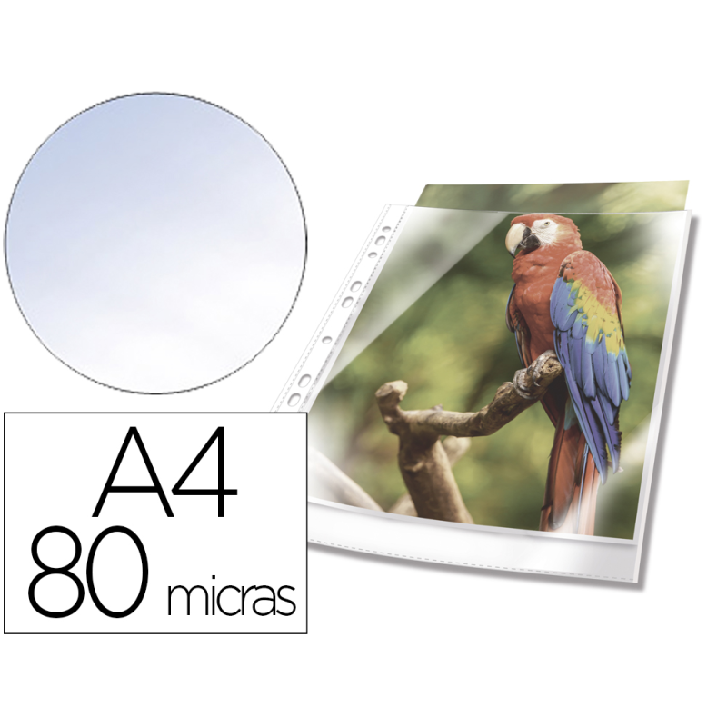 Funda multitaladro durable premium din a4 polipropileno 80 mc cristal con borde color blanco bolsa de 10 unidades