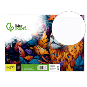 Bloc dibujo liderpapel...