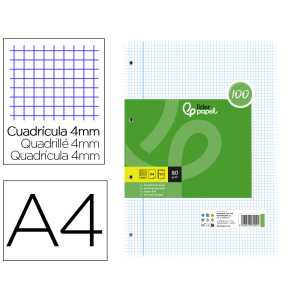 Recambio liderpapel a4 100...