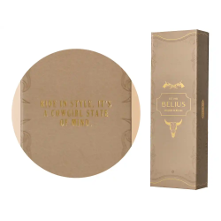 Boligrafo belius wild west aluminio color beige dorado tinta color azul caja de diseño