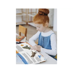 Juego de clasificacion conteo de dinosaurios +3 años