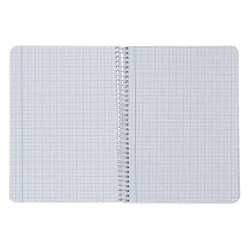 Cuaderno espiral liderpapel a5 witty tapa dura 80h 90gr milimetrado 2mm colores surtidos