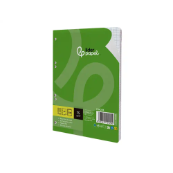 Recambio liderpapel a5 100 hojas 75gr cuadro 3mm con margen 6 taladros