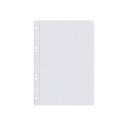 Recambio liderpapel a5 100 hojas 75gr cuadro 3mm con margen 6 taladros
