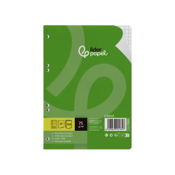 Recambio liderpapel a5 100 hojas 75gr cuadro 6mm con margen 6 taladros