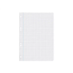 Recambio liderpapel din a5 100 hojas 75 gr cuadro 8mm con margen 6 taladros