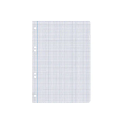 Recambio liderpapel din a5 100 hojas 75 gr milimetrado sin margen 6 taladros