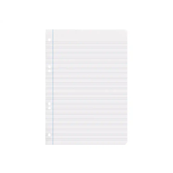 Recambio liderpapel din a5 100 hojas 75 gr pauta 4 3.5mm con margen 6 taladros
