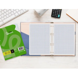 Recambio liderpapel din a5 100 hojas 75gr rayado nº 46 6 taladros