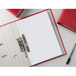 Recambio liderpapel din a4 100 hojas 75 gr cuadro 3 mm con margen 4 taladros