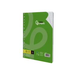 Recambio liderpapel a4 100 hojas 75gr cuadro 4mm con margen 16 taladros