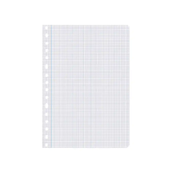 Recambio liderpapel a4 100 hojas 75gr cuadro 4mm con margen 16 taladros