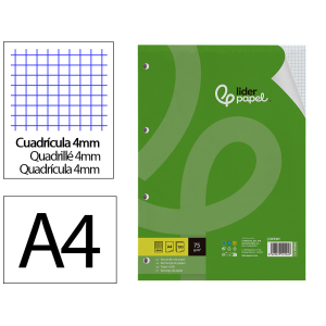 Recambio liderpapel a4 100 hojas 75gr cuadro 4mm con margen 4 taladros