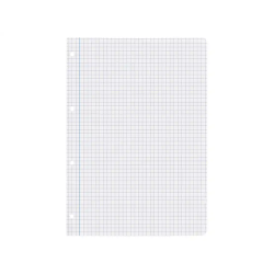 Recambio liderpapel a4 100 hojas 75gr cuadro 6mm 4 taladros con margen