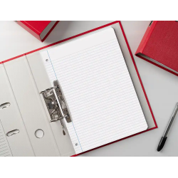 Recambio liderpapel a4 100 hojas 75gr horizontal con margen 4 taladros