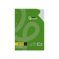 Recambio liderpapel a4 100 hojas 75gr rayado nº46 4 taladros