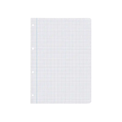 Recambio liderpapel a4 80 hojas 75gr cuadro 4 mm con margen 4 taladros
