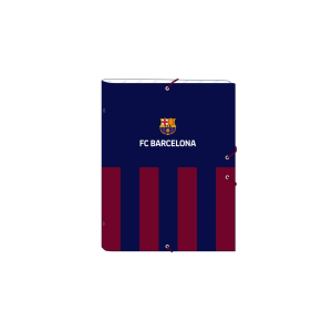 Carpeta clasificadora safta...