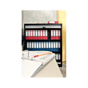 Archivador de palanca leitz 180 din a4 maxi polipropileno lomo 80 mm color azul