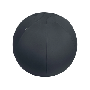 Balon de asiento leitz...