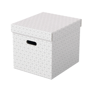 Caja almacenamiento esselte...