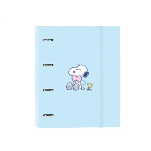 Carpeta con recambio safta...